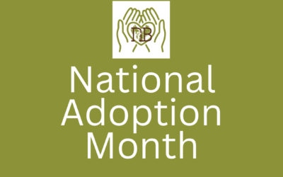 National Adoption Month Recap￼